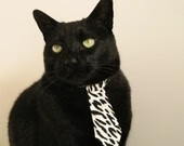 【比赛新规】科技时代的台球规则变革,哪些细节被重新定义?,2020台球新规则