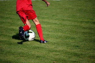 爱游戏全站-CBA球队加强后勤保障体系优化训练和比赛准备，cba后备联赛